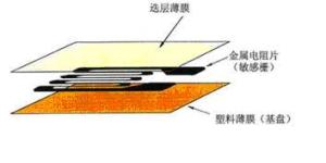 圖片1.jpg 圖片1.jpg